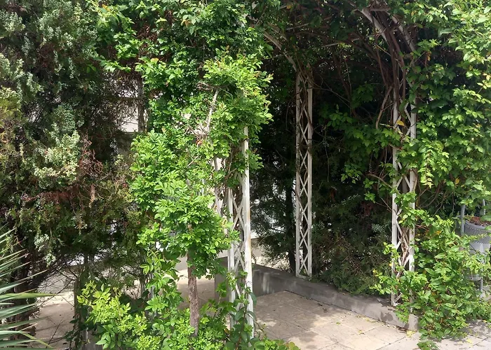 Comfort Apartament Sunny Beach